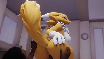 hentai porn,porn cartoons